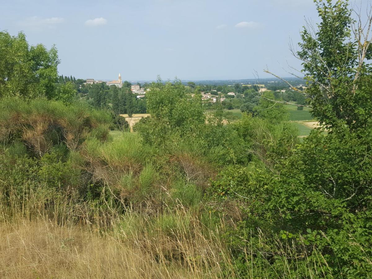 Gite Pourquoi Pas Montegut-Lauragais Exterior photo